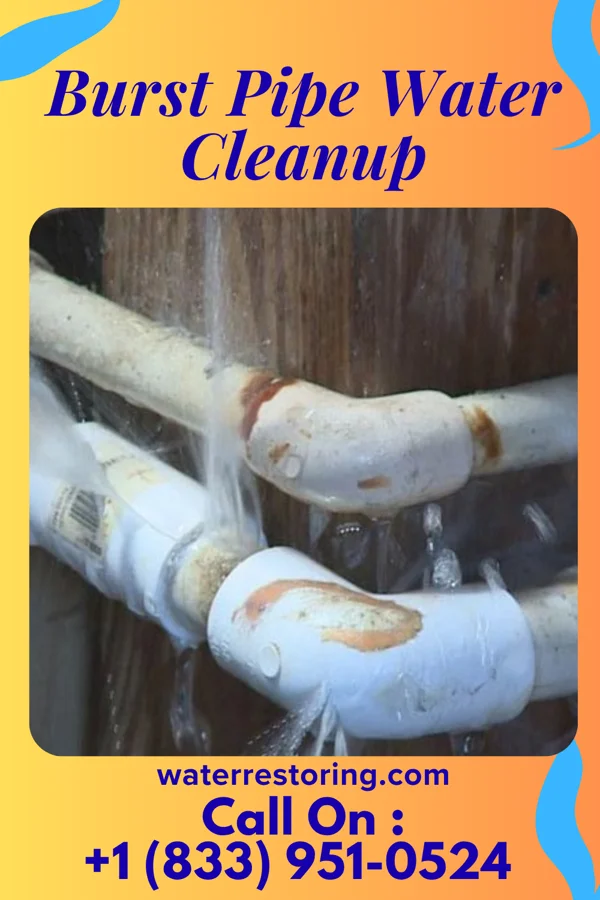 Burst Pipe Water Cleanup in Warsaw, MO