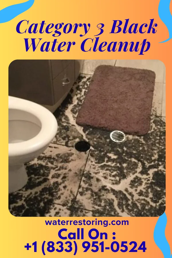 Category 3 Black Water Cleanup in Warsaw, MO