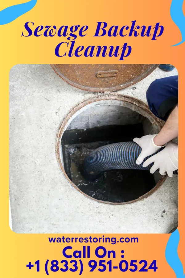 Sewage Backup Cleanup in Warsaw, MO