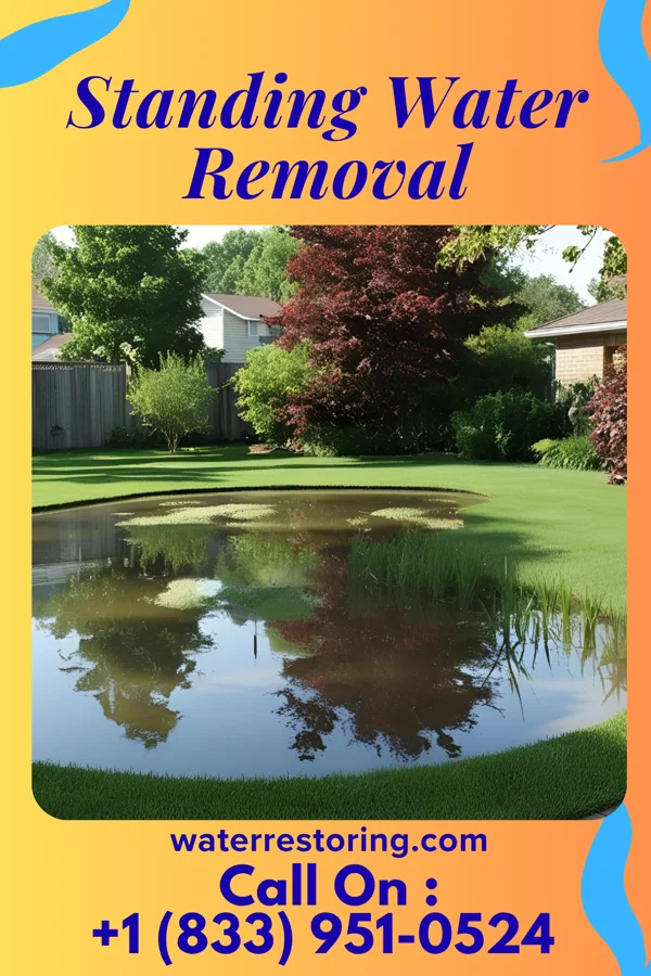 Standing Water Removal in Warsaw, MO